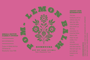 Kombucha - 16oz bottles