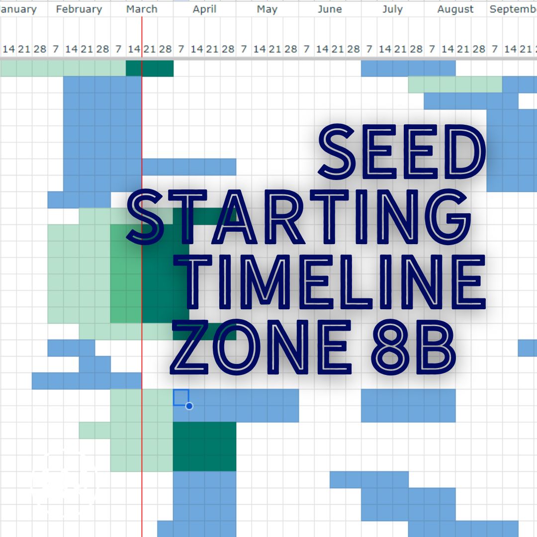 zone 7 seed planting guide Planting Timeline for Zone 8b – Hillbilly Nutrition