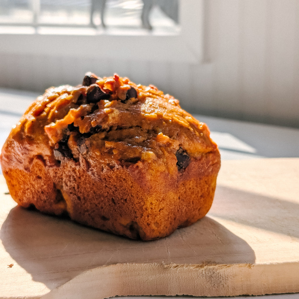 Sourdough Pumpkin Chocolate Chip Loaf