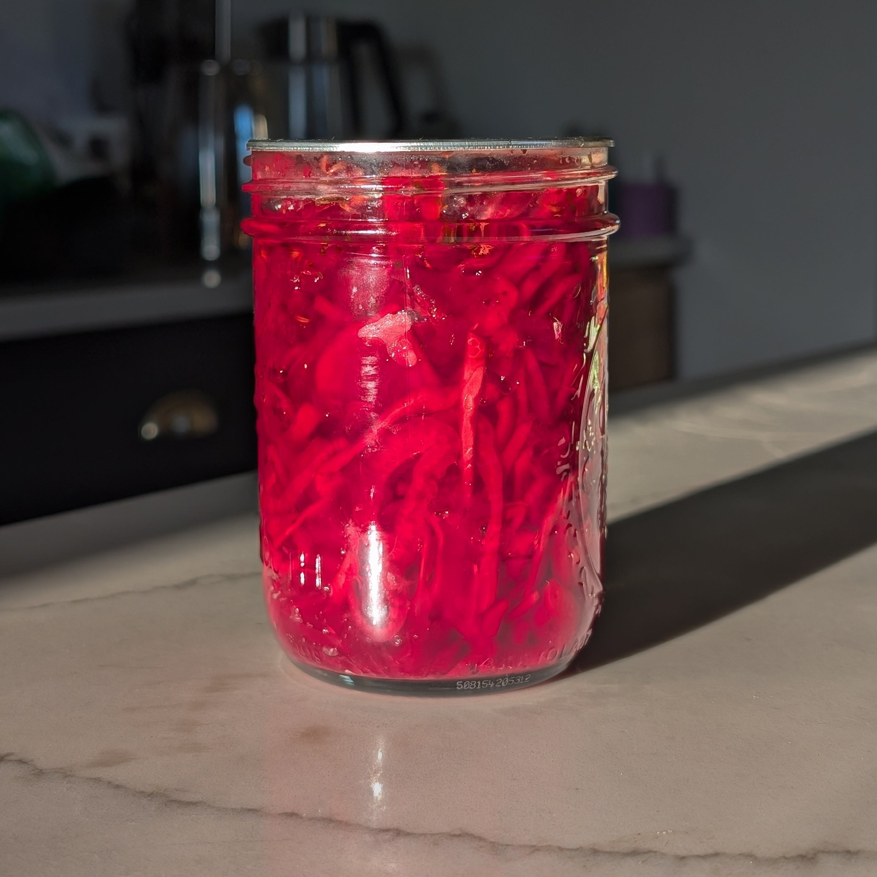 Pickled Beets, Red Cabbage, & Fennel