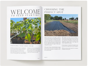 Planning, Companion, and Planting Layers