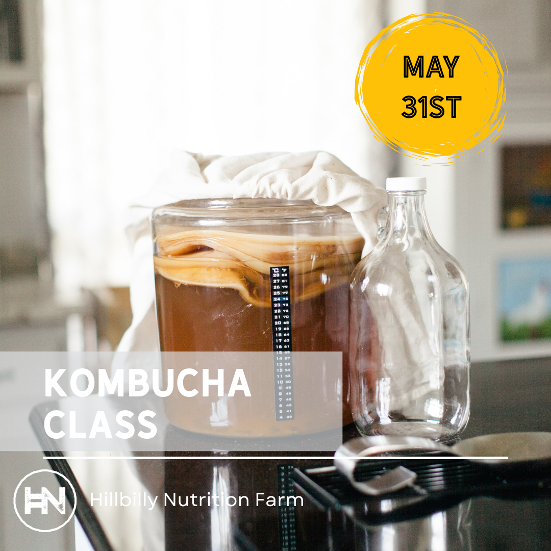How to Brew Kombucha