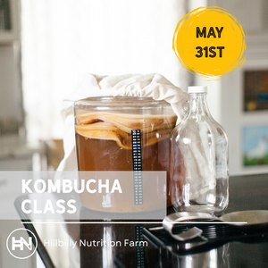How to Brew Kombucha