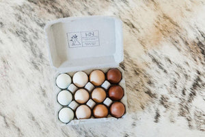 pastured eggs grass fed eggs rainbow eggs
